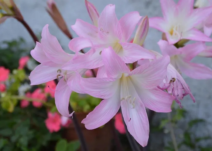 호텔 Gli Acquerelli *