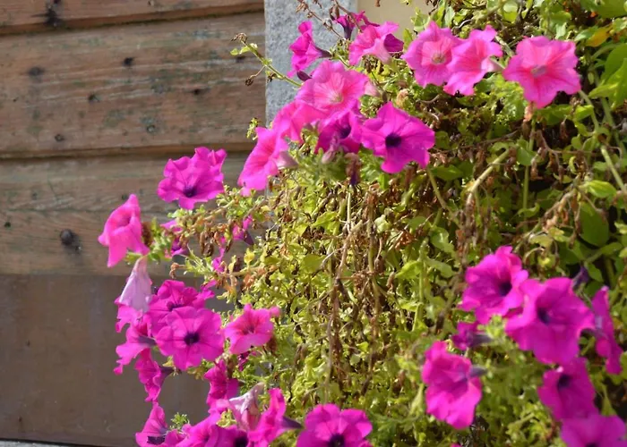 Gli Acquerelli * Портоферрайо