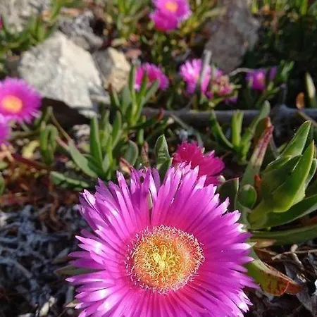 Gli Acquerelli 포르토페라이오