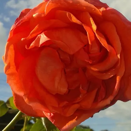 Hotel Gli Acquerelli *