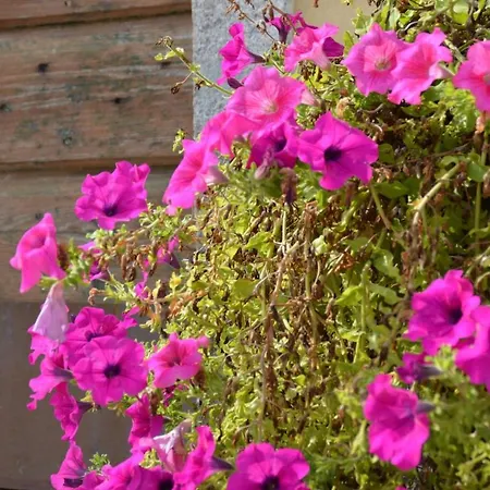 Gli Acquerelli * Magazzini (Sardinia)