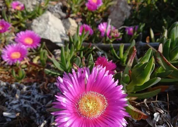 Gli Acquerelli Portoferraio