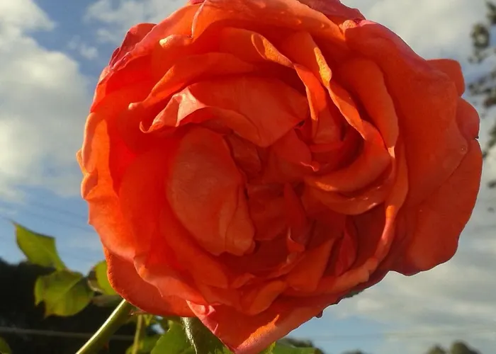 Hotel Gli Acquerelli *